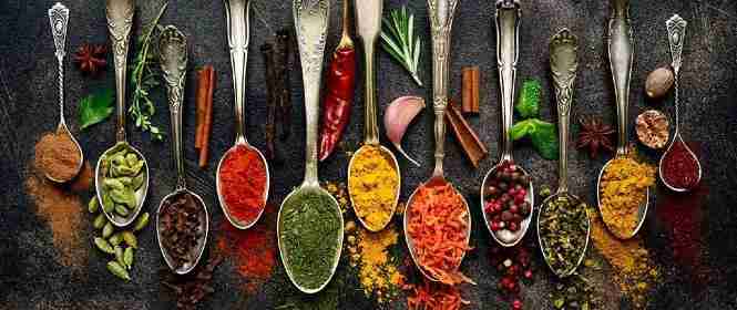 The Turmeric Indian Cuisine