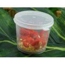 PIMENT FRAIS