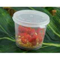 PIMENT FRAIS
