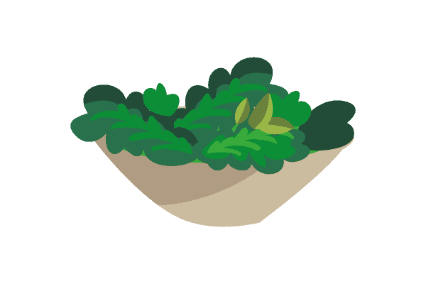 Salade Grecque