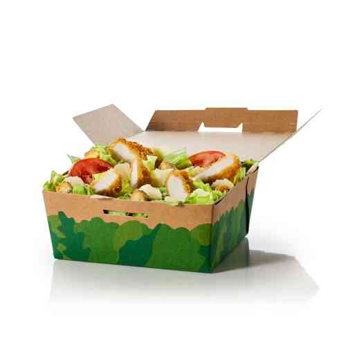 Crispy Caesar Salad